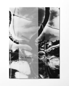 Personal Work / the Roaster